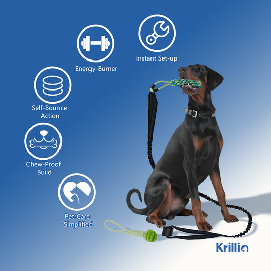 Krillia dog bungee tug toy with elastic rope, chew-proof design and energy-burning play for active dogs.