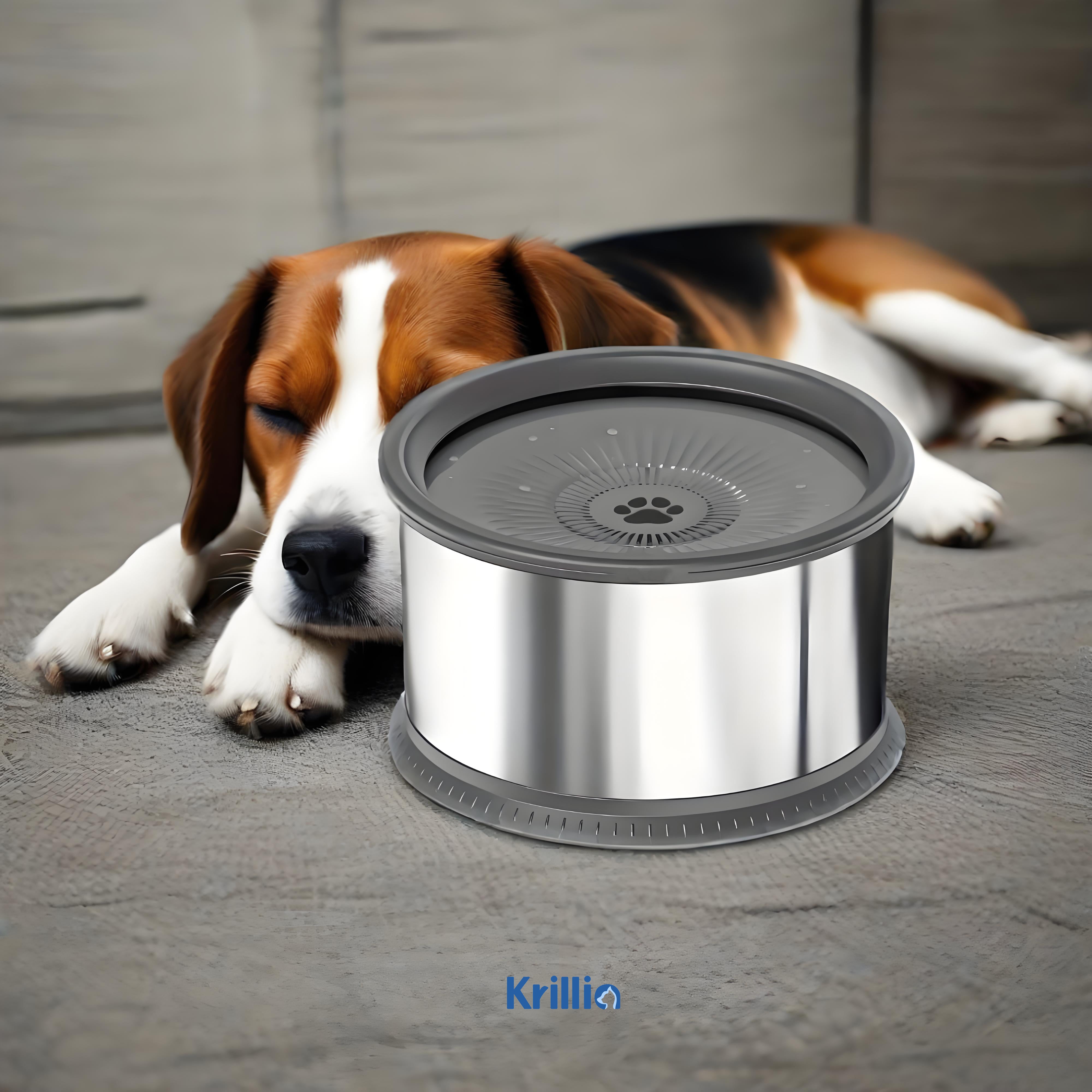 Dog resting peacefully beside Krillia splash-free stainless steel dog water bowl, clean and stylish hydration solution.
