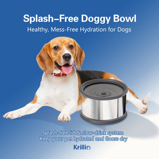 Beagle dog drinking from Krillia splash-free dog bowl with slow-drink system, keeps pets hydrated and floors dry.